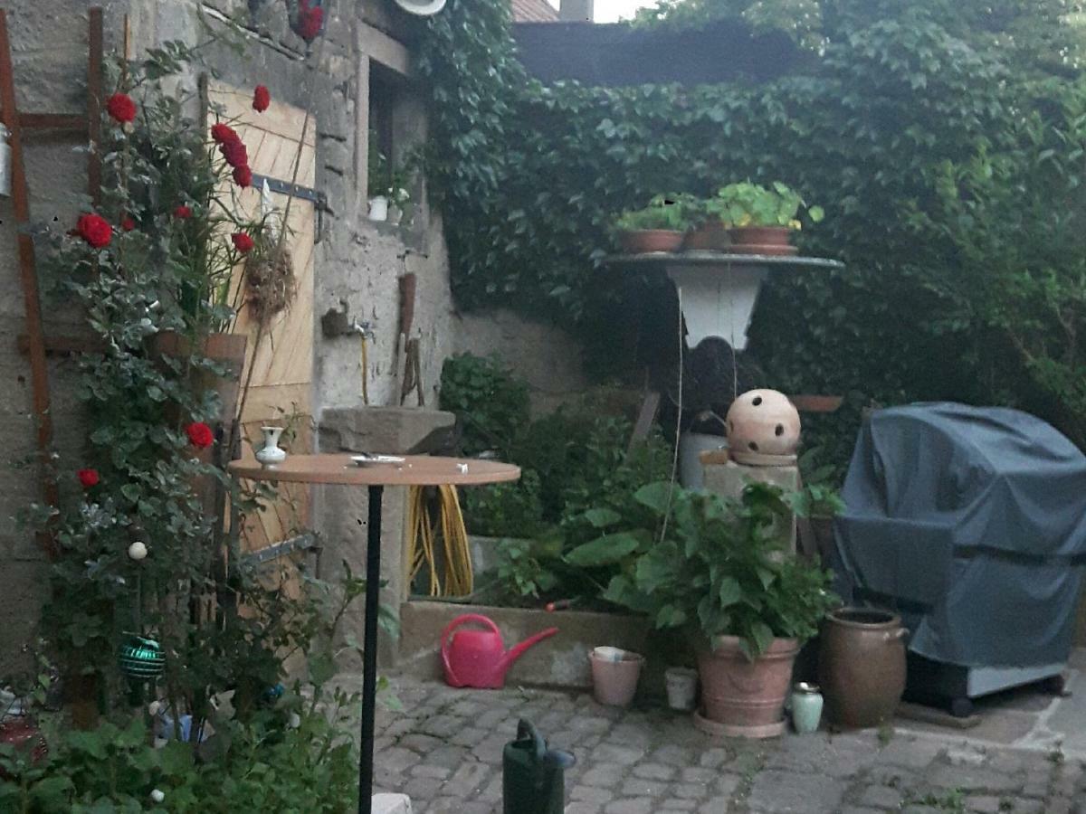 Lejlighed Ferienwohnung Hammelburg *